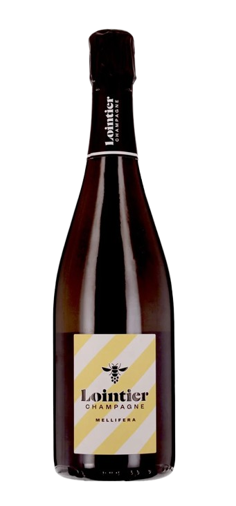 LOINTIER MELLIFERA CHAMPAGNE