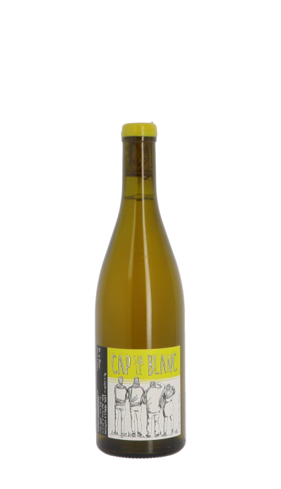 DUTRAIVE VDF SUR BLANC 21 MAG VIN DE FRANCE